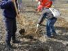 Acţiune de plantare flori, arbuşti şi arbori la Constanta