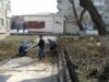 Sute de elevi de la unităţile şcolare din oraşul Rovinari au participat la o amplă acţiune de salubrizare şi plantare de pomi