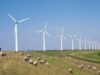 Investiţia într-un parc eolian de 100 MW, amortizată în 10 ani