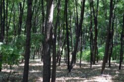 40 milioane de euro pentru natura, in 2012