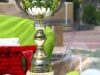 Olimpiada Deseurilor 2012