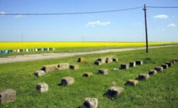 Romania a investit 3 miliarde de euro prin masurile de agromediu