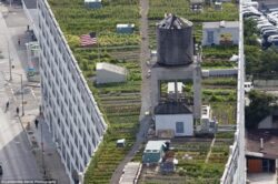 O ferma urbana cu 4.000 de metri patrati de cultura, situata deasupra cartierului Long Island City