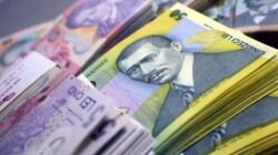 Bugetul Ministerului Mediului, Apelor si Padurilor pentru 2015 a trecut de votul comisiilor de buget-finante