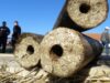Proiectul ”Biomasa înlocuiește lemnul de foc” al Fundației TERRA Mileniul III a câștigat National Energy Globe