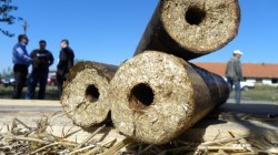 ILIAS PAPAGEORGIADIS, ARBIO: "Energia din biomasa si biogaz poate atrage investitii de 500 milioane de euro"