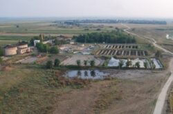control-garda-de-mediu-lugoj-600x399