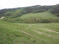 Omul de afaceri iesean Ioan Budeanu a primit aviz sa construiasca la numai 200 metri de situl Natura 2000 "Dealul lui Dumnezeu"