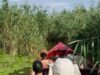 Rovana Plumb s-a întâlnit cu secretarul general al Convenţiei Ramsar asupra zonelor umede de importanţă internaţională