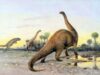 O nouă explicaţie pentru disparitia dinozaurilor O nouă explicaţie pentru disparitia dinozaurilor