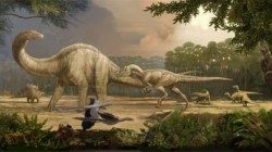Animale cu sange cald sau cu sange rece? Cercetatorii elucideaza misterul dinozaurilor