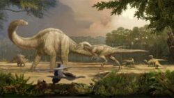Dinozaurii au cauzat schimbari climatice din cauza gazelor pe care le-au degajat in atmosfera, sustine un cercetator scotian