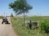 Zeci de hectare de păduri au fost rase de hoţi, în Harghita