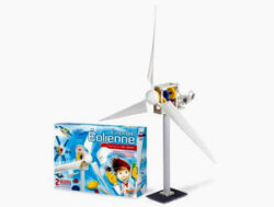eoliana
