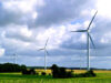Producătorii de energie verde au făcut în patru luni cât au scos într-un an: 100 milioane euro