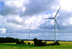Director Translectrica: Producatorii de energie verde trebuie sa cedeze o parte din ajutorul de la stat