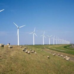 Numarul dosarelor privind acreditarea generatoarelor eoliene a cunoscut o substantiala reducere