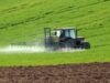 erbicide Firma acuzata de distrugerea apiculturii din Tomesti isi sustine nevinovatia