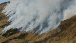 foc in rezervatie Funinginea are o contributie mult mai mare decat se estima pana in prezent la incalzirea globala