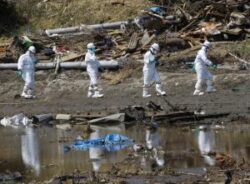 Ancheta accidentului de la Fukushima: Un fost sef din domeniul securitatii nucleare japoneze a fost audiat de catre politie