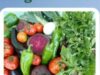 Cultivarea legumelor bio, cea mai rentabila afacere