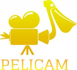 Festivalul Pelicam Tulcea - „Ii provocam pe oameni sa reflecteze un pic asupra problemelor de mediu”