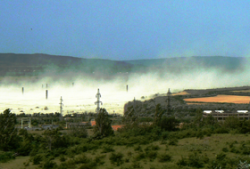 Pisica moarta de la Moldomin