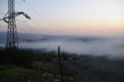 otelu rosu