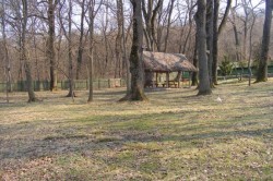 Mi-e draga Romania pentru Rezervatia Comana