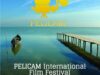 Pelicam