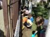 plantari Ziua Mondiala a Plantării de Copaci (ENO Tree Planting Day)
