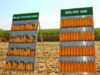 ANSVSA anunţă monitorizarea ingredientelor modificate genetic aflate în alimente