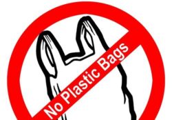 Consiliul local al orasului american Los Angeles interzice pungile de plastic din magazine
