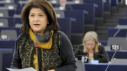rovana plumb