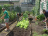 slow food Asociaţia Slow Food Turda crează o grădină de legume şi plante, în cadrul proiectului "Gustos şi sănătos"