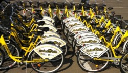 student o bike