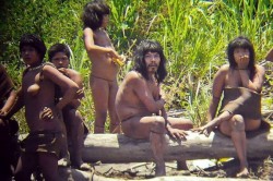 triburi