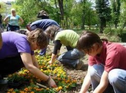 voluntariat