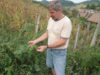 willy schuster Willy Schuster - Co-presedintele Asociatiei "Eco Ruralis": Secolul al XXI-lea va fi bio sau nu va mai fi deloc