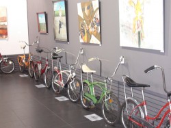 Expozitie-biciclete-2