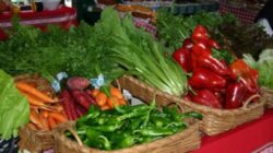 Romania ar putea deveni "tara anului" 2013 la cel mai mare targ bio din lume
