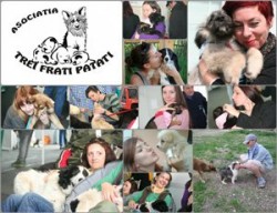 adoptii