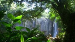 TURECO infiinteaza 10 noi intreprinderi sociale in ecoturism