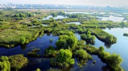 Delta din Bucuresti, primul parc natural urban