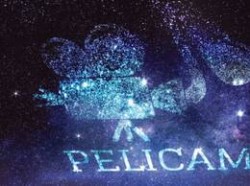 pelicam