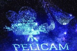 Workshop-uri inedite la Pelicam, Festivalul International de Film
