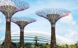 solar-trees