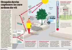 Poluarea si schimbarea circulatiei maselor de aer au adus arsita, in special asupra oraselor aglomerate
