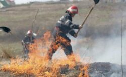Fermierii care incendiaza miristile fara acordul APM, pasibili de amenda