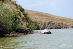lacul razim